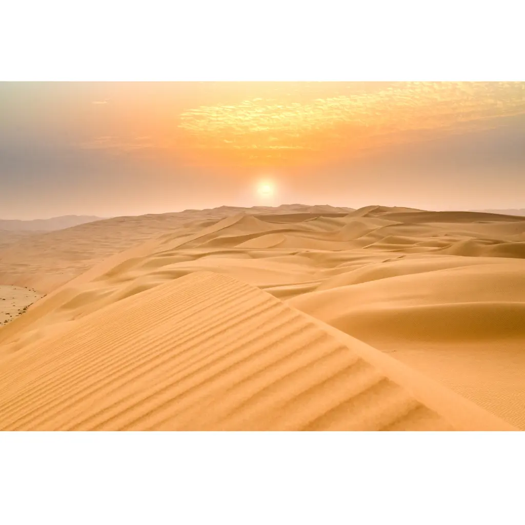 Morning-desert-safari